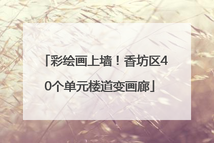 彩绘画上墙！香坊区40个单元楼道变画廊