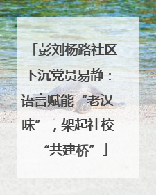 彭刘杨路社区下沉党员易静：语言赋能“老汉味”，架起社校“共建桥”