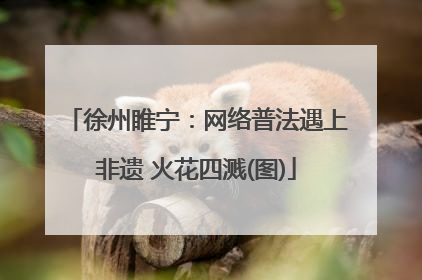 徐州睢宁：网络普法遇上非遗 火花四溅(图)