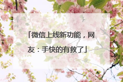 微信上线新功能，网友：手快的有救了