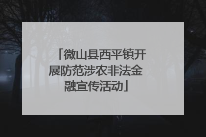 微山县西平镇开展防范涉农非法金融宣传活动