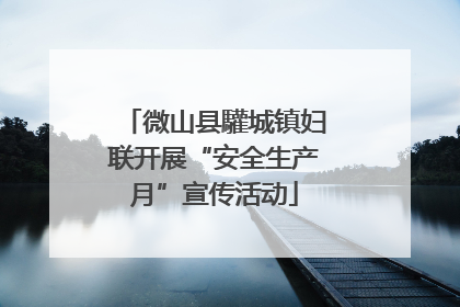 微山县驩城镇妇联开展“安全生产月”宣传活动