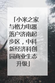 小米之家与格力电器落户济南起步区，中科新经济科创园商业生态升级