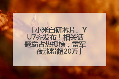 小米自研芯片、YU7齐发布！相关话题霸占热搜榜，雷军一夜涨粉超20万