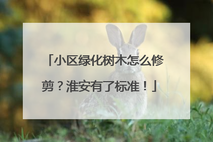 小区绿化树木怎么修剪？淮安有了标准！