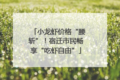 小龙虾价格“腰斩”！宿迁市民畅享“吃虾自由”
