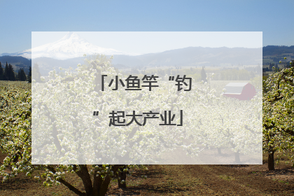 小鱼竿“钓”起大产业