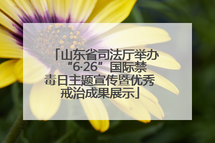 山东省司法厅举办“6·26”国际禁毒日主题宣传暨优秀戒治成果展示