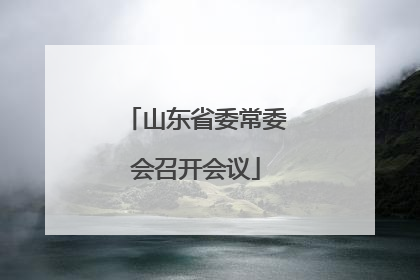 山东省委常委会召开会议