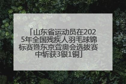 山东省运动员在2025年全国残疾人羽毛球锦标赛暨东京聋奥会选拔赛中斩获3银1铜