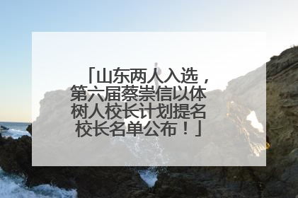 山东两人入选，第六届蔡崇信以体树人校长计划提名校长名单公布！