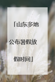 山东多地公布暑假放假时间