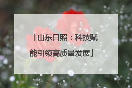 山东日照：科技赋能引领高质量发展