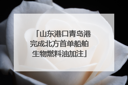 山东港口青岛港完成北方首单船舶生物燃料油加注