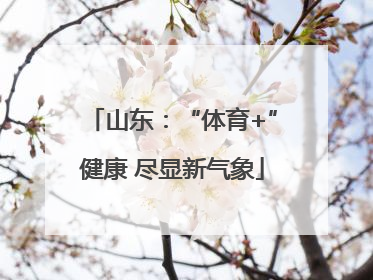 山东：“体育+”健康 尽显新气象
