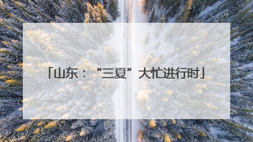 山东：“三夏”大忙进行时
