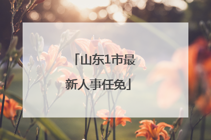 山东1市最新人事任免