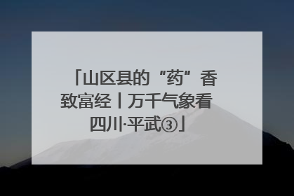 山区县的“药”香致富经丨万千气象看四川·平武③