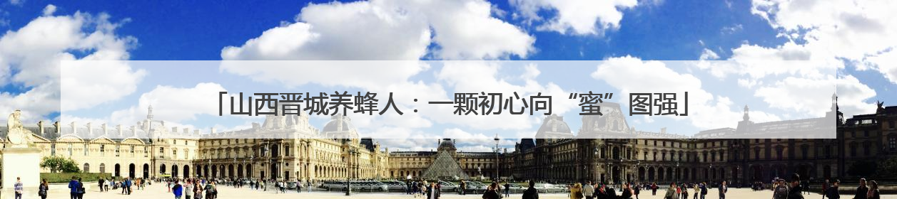 山西晋城养蜂人：一颗初心向“蜜”图强