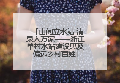 山间立水站 清泉入万家——浙江单村水站建设惠及偏远乡村百姓