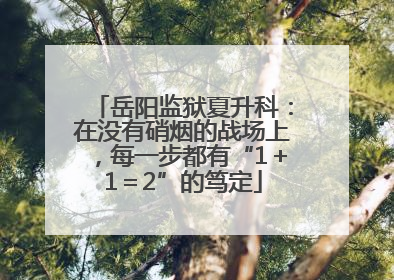 岳阳监狱夏升科：在没有硝烟的战场上，每一步都有“1＋1＝2”的笃定