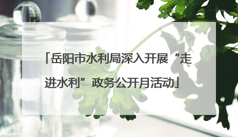 岳阳市水利局深入开展“走进水利”政务公开月活动