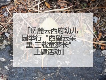 岳麓云西府幼儿园举行“西望云朵里·三载童梦长”主题活动