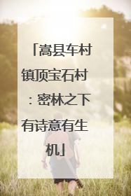 嵩县车村镇顶宝石村：密林之下有诗意有生机