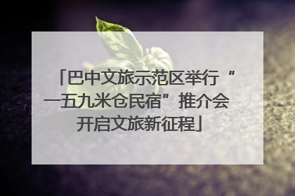 巴中文旅示范区举行“一五九米仓民宿”推介会 开启文旅新征程