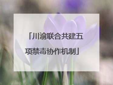 川渝联合共建五项禁毒协作机制