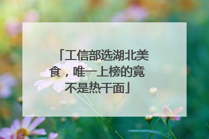 工信部选湖北美食，唯一上榜的竟不是热干面