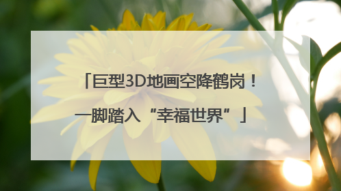 巨型3D地画空降鹤岗！一脚踏入“幸福世界”