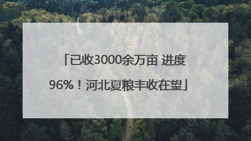 已收3000余万亩 进度96%！河北夏粮丰收在望