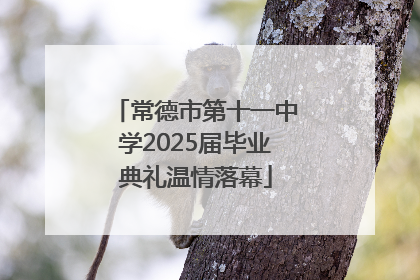 常德市第十一中学2025届毕业典礼温情落幕