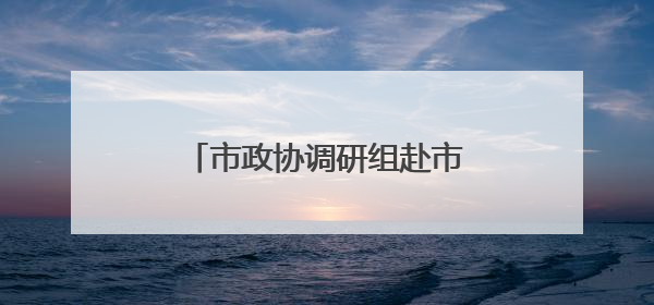 市政协调研组赴市大数据中心调研