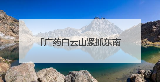 广药白云山紧抓东南亚市场机遇，开启医药产业合作新篇！