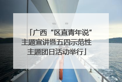 广西“区直青年说”主题宣讲暨五四示范性主题团日活动举行