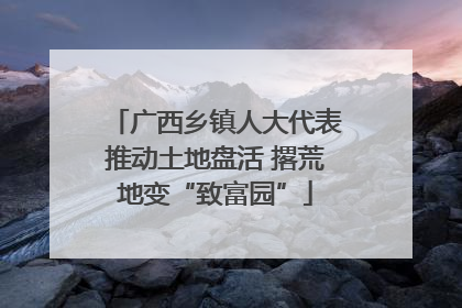 广西乡镇人大代表推动土地盘活 撂荒地变“致富园”