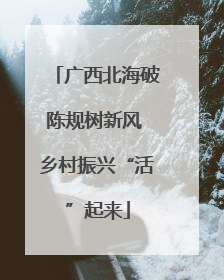 广西北海破陈规树新风 乡村振兴“活”起来