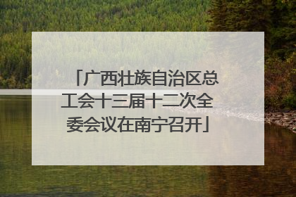 广西壮族自治区总工会十三届十二次全委会议在南宁召开