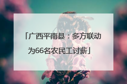 广西平南县：多方联动为66名农民工讨薪