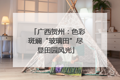 广西贺州：色彩斑斓“玻璃田”尽显田园风光