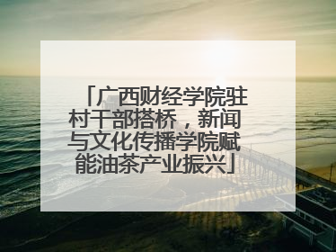 广西财经学院驻村干部搭桥，新闻与文化传播学院赋能油茶产业振兴