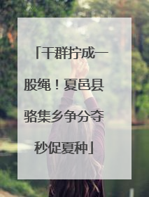 干群拧成一股绳！夏邑县骆集乡争分夺秒促夏种