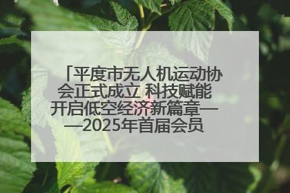 平度市无人机运动协会正式成立 科技赋能开启低空经济新篇章——2025年首届会员大会暨无人机应用发展论坛成功举办