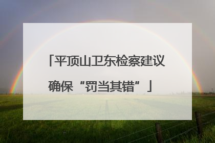 平顶山卫东检察建议确保“罚当其错”