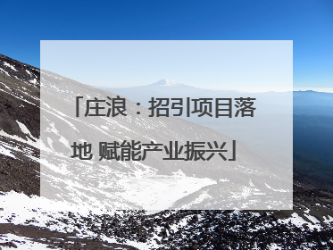 庄浪：招引项目落地 赋能产业振兴