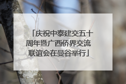 庆祝中泰建交五十周年暨广西侨界交流联谊会在曼谷举行