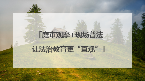 庭审观摩+现场普法 让法治教育更“直观”