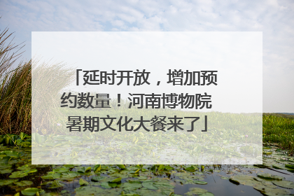 延时开放，增加预约数量！河南博物院暑期文化大餐来了